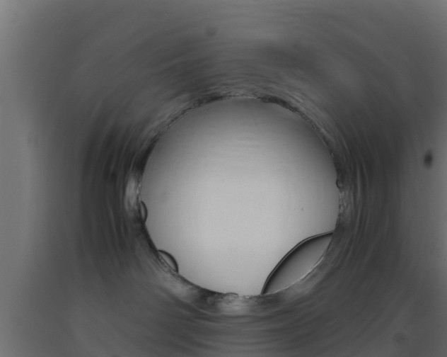 X0000093410142200710120923