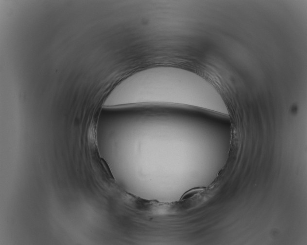 X0000093410143200710120923