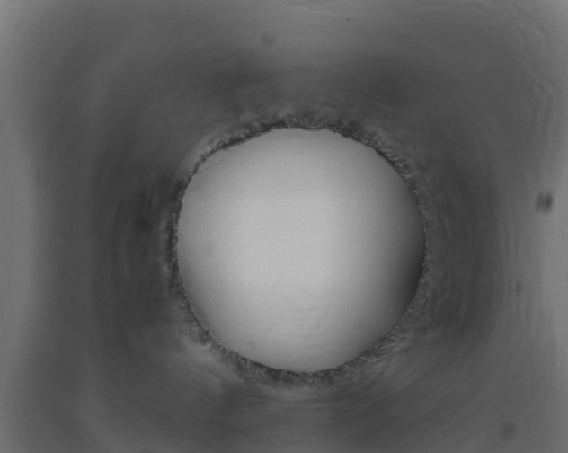 X0000093410144200710120923