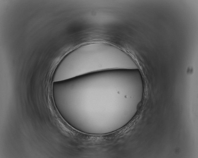 X0000093410145200710120923