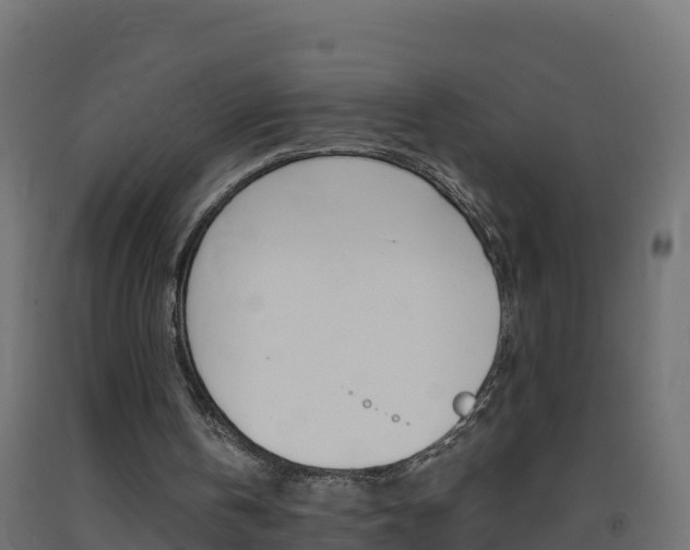 X0000093410146200710120923
