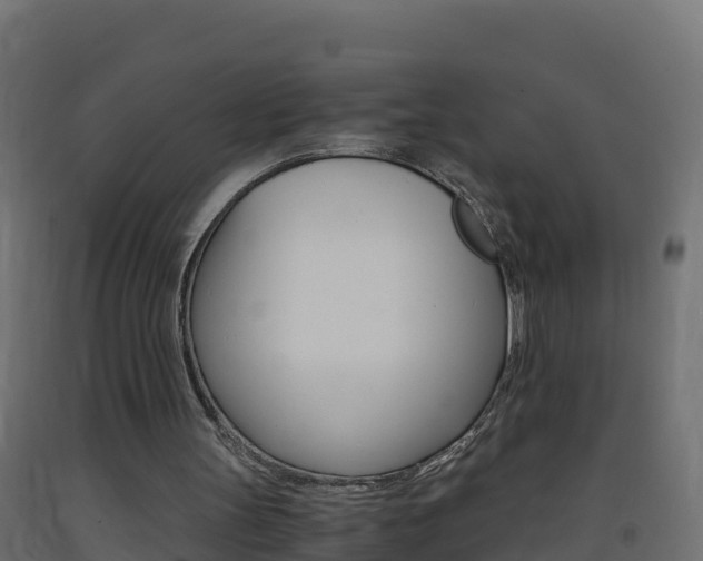 X0000093410147200710120923