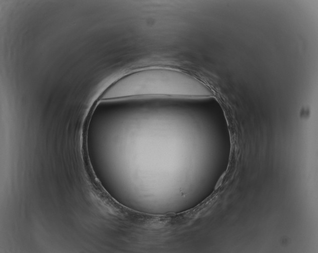 X0000093410148200710120923