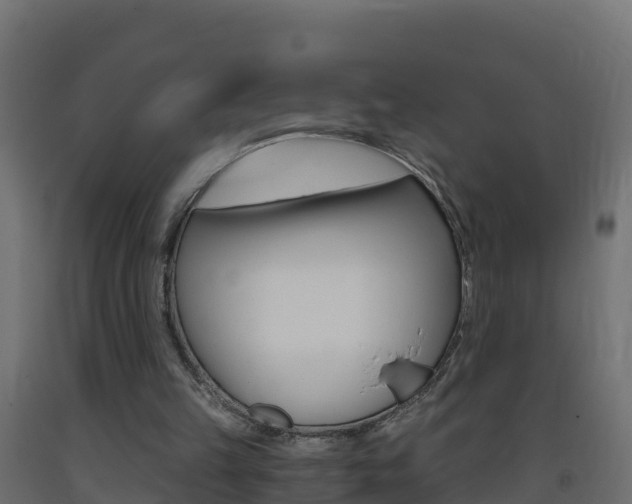 X0000093410149200710120923
