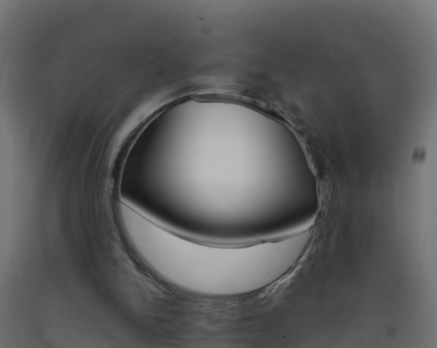 X0000093410150200710120923