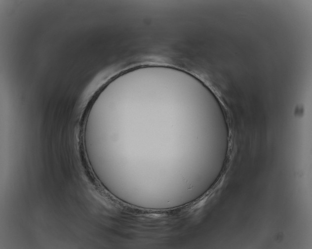 X0000093410151200710120923