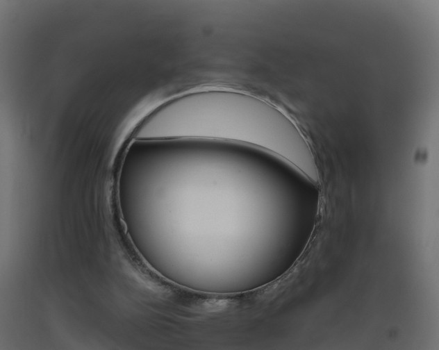 X0000093410152200710120923