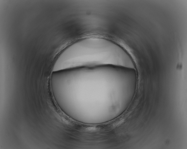 X0000093410153200710120923