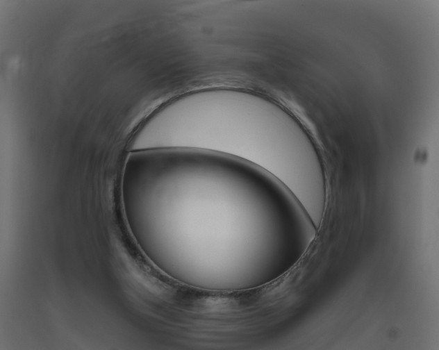 X0000093410154200710120923