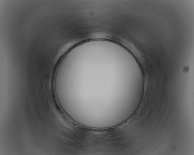 X0000093410155200710120923