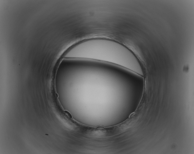 X0000093410156200710120923