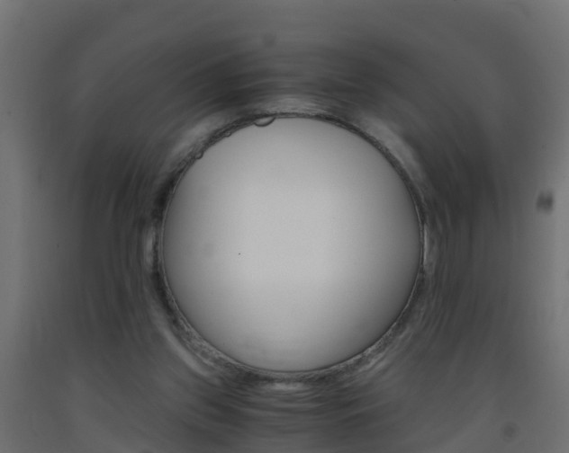 X0000093410157200710120923