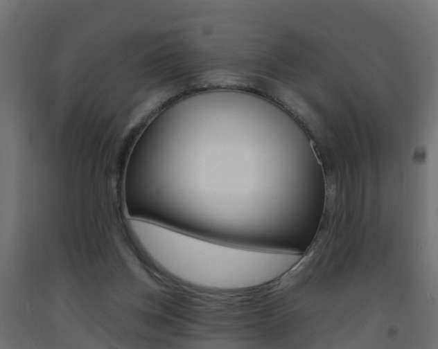 X0000093410158200710120923