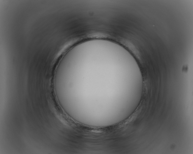 X0000093410159200710120923