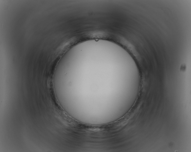 X0000093410161200710120923