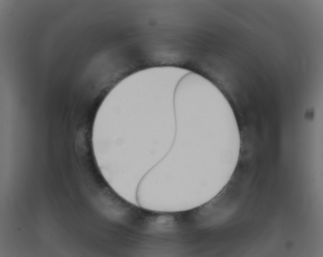 X0000093410162200710120923