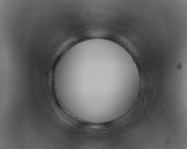 X0000093410163200710120923