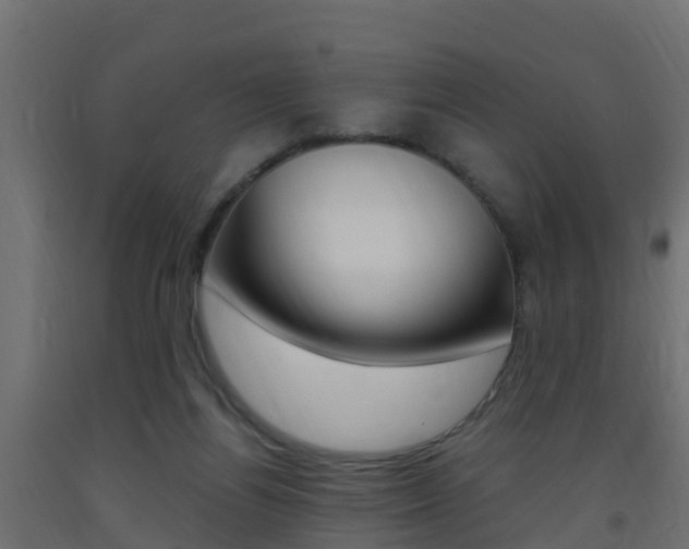 X0000093410164200710120923