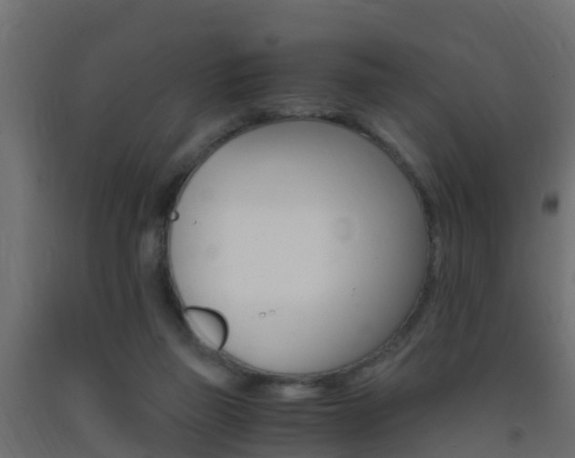 X0000093410165200710120923