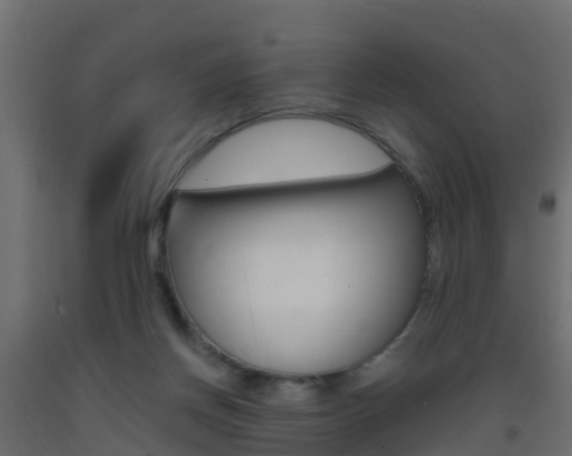 X0000093410166200710120923