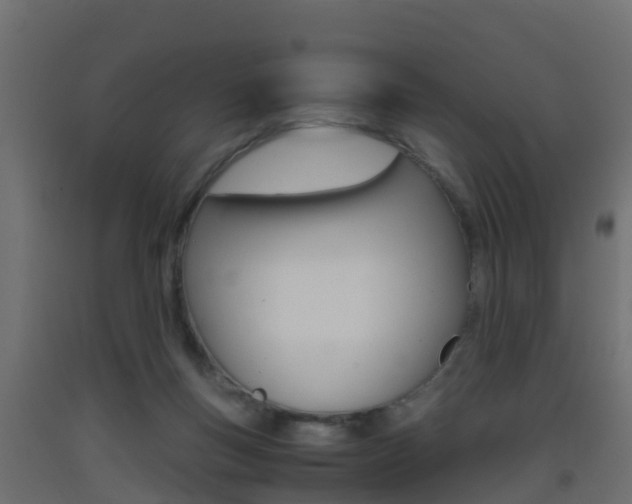 X0000093410167200710120923