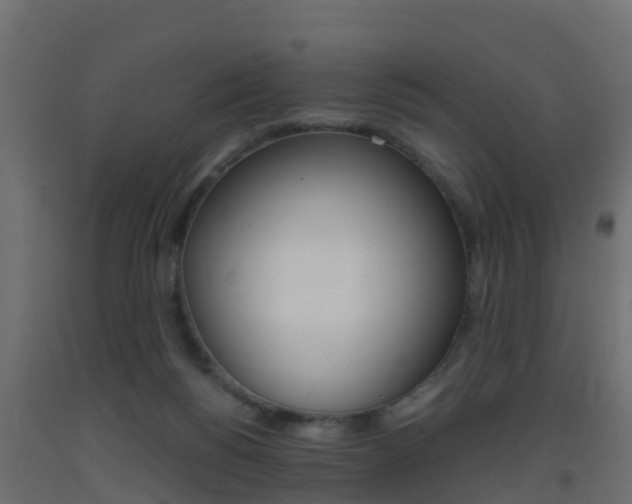 X0000093410168200710120923