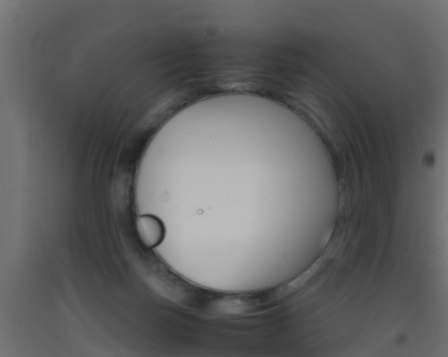 X0000093410171200710120923