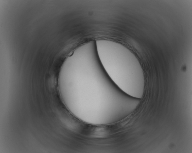 X0000093410173200710120923