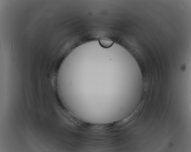 X0000093410175200710120923