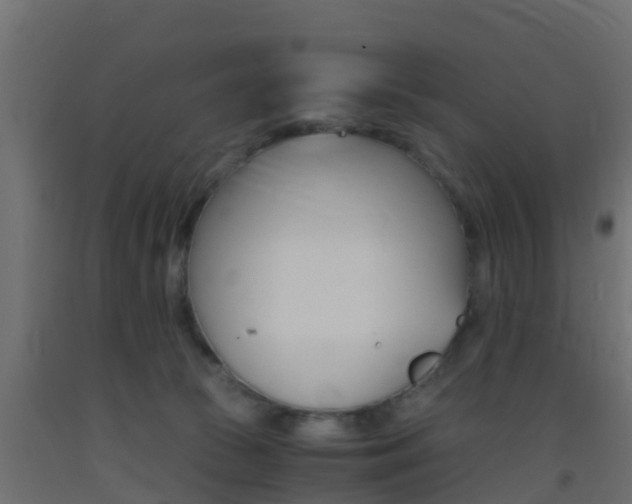 X0000093410177200710120923