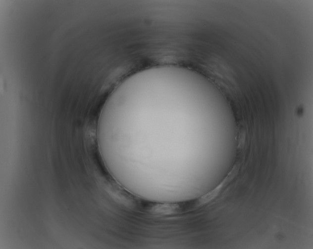X0000093410179200710120923