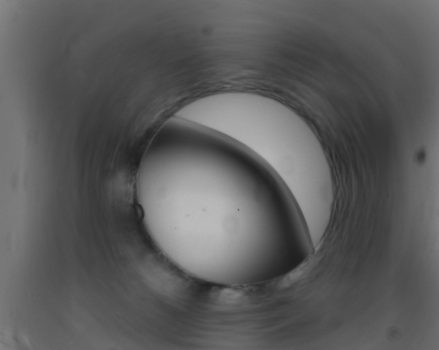X0000093410180200710120923