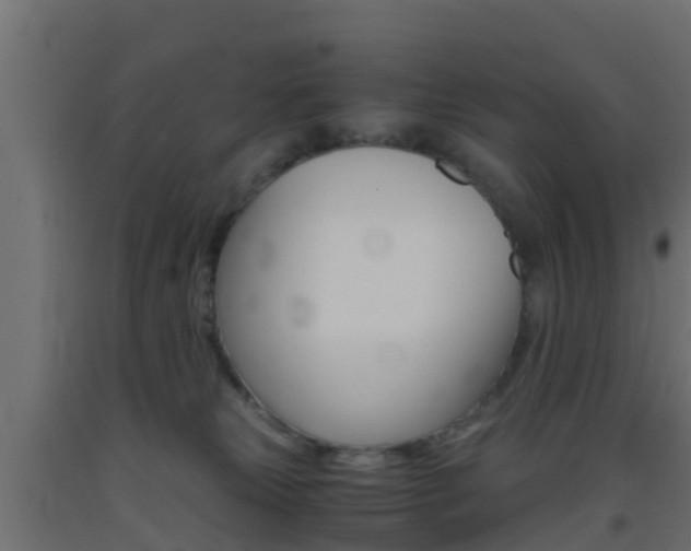 X0000093410181200710120923