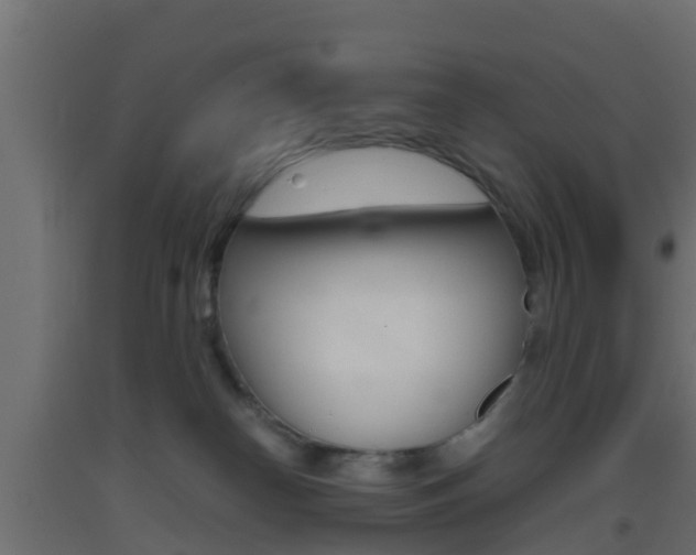 X0000093410182200710120923