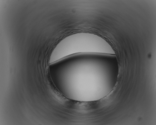 X0000093410186200710120923