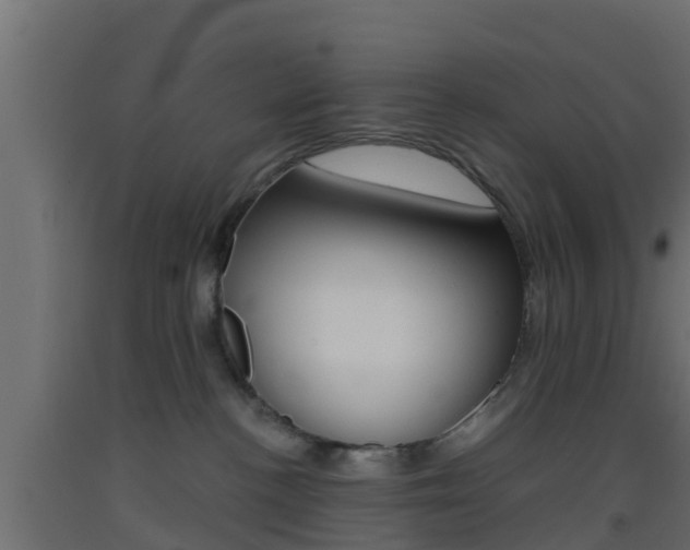 X0000093410188200710120923