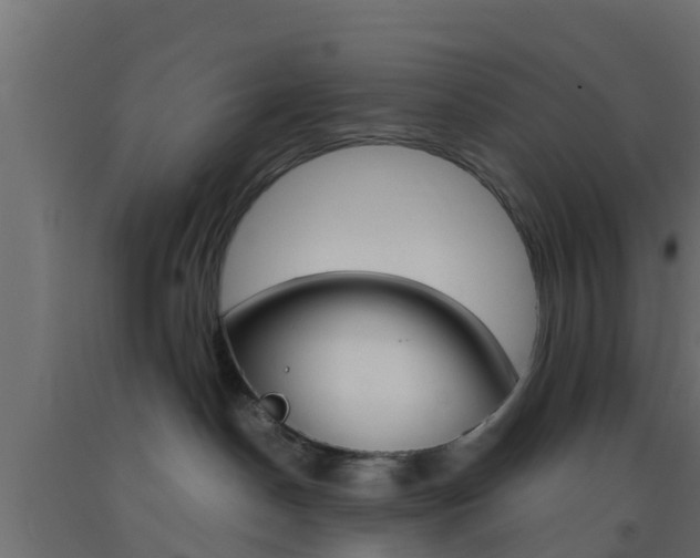X0000093410190200710120923