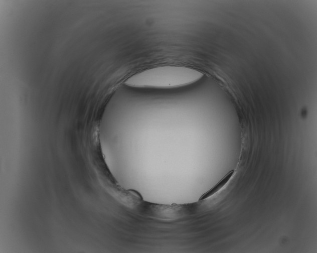 X0000093410191200710120923