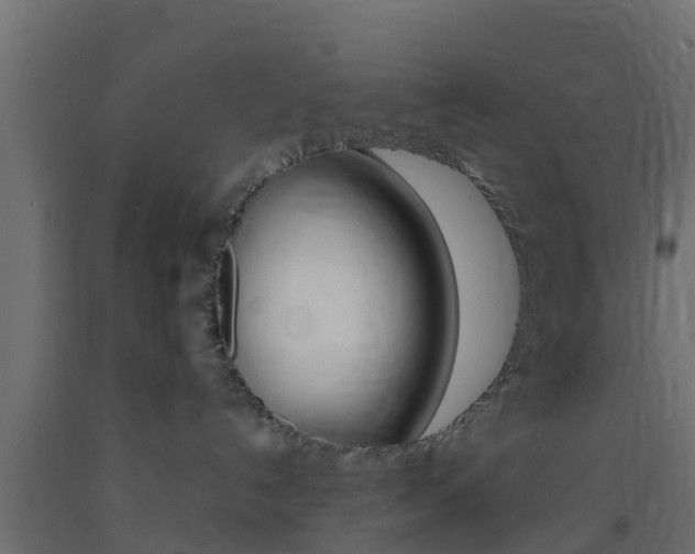 X0000093410192200710120923