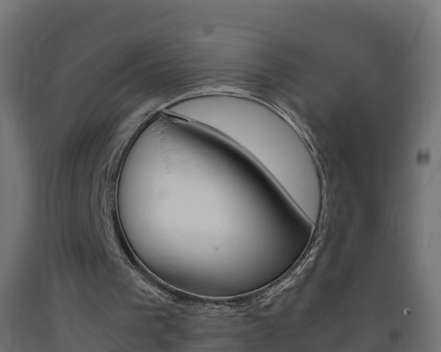 X0000093410193200710120922