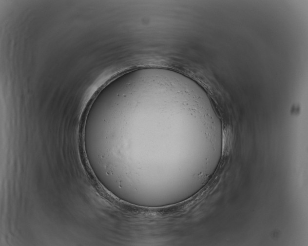 X0000093410195200710120922