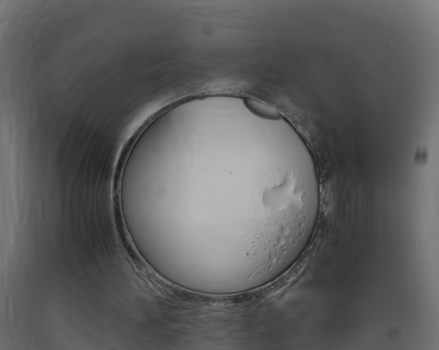 X0000093410196200710120922