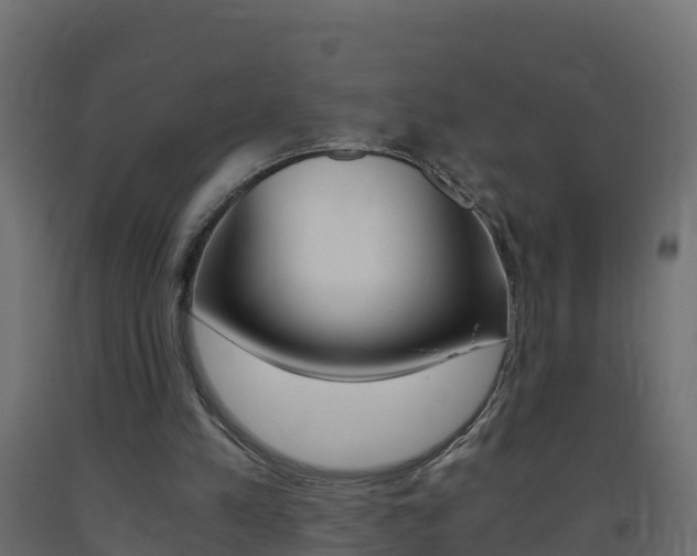 X0000093410197200710120922