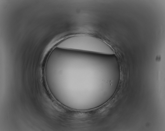 X0000093410198200710120922
