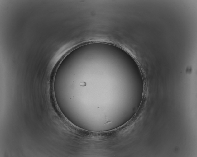 X0000093410199200710120922
