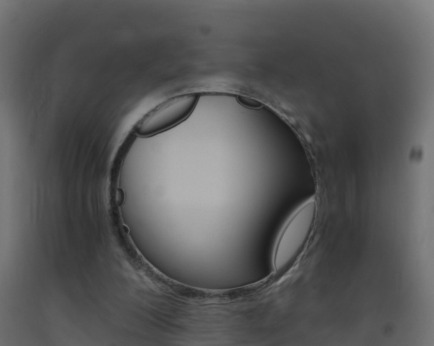 X0000093410200200710120922