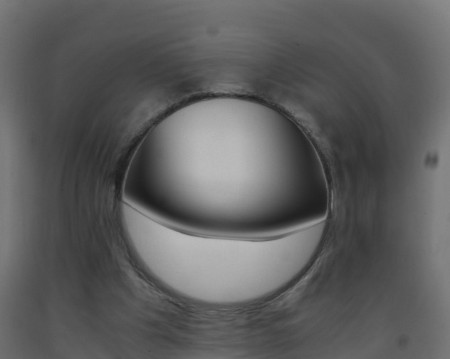 X0000093410201200710120922