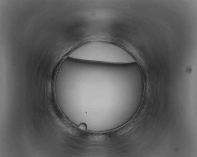X0000093410202200710120922