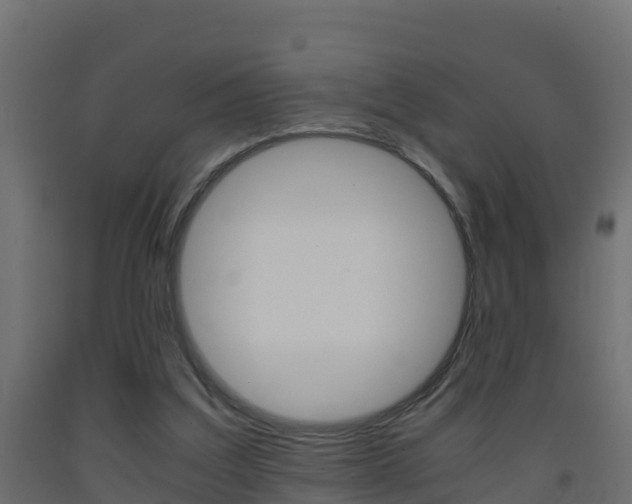 X0000093410203200710120922