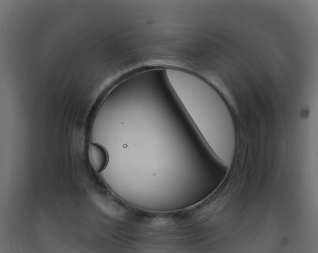X0000093410204200710120922